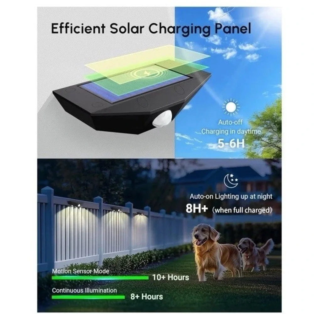 Smartdany 12 pack